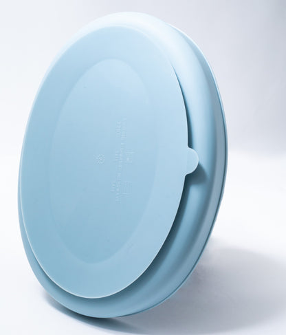 silicon sectioned plate in blue color